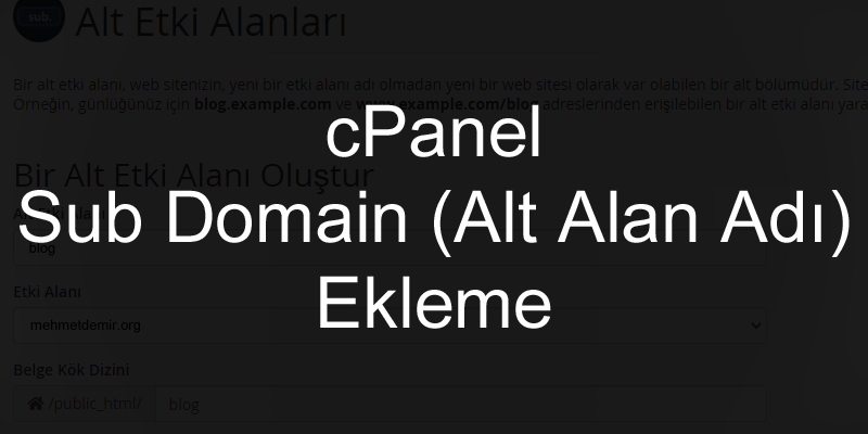 cPanel Sub Domain (Alt Alan Adı) Ekleme