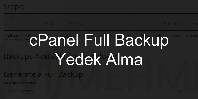 cPanel Full Backup Yedek Alma