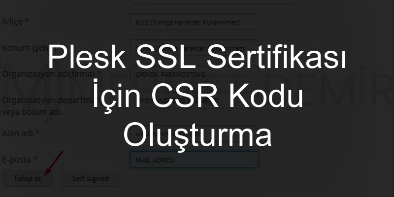 Plesk SSL Sertifikası İçin CSR Kodu Oluşturma